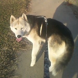 Meet your Posher, Jonathan